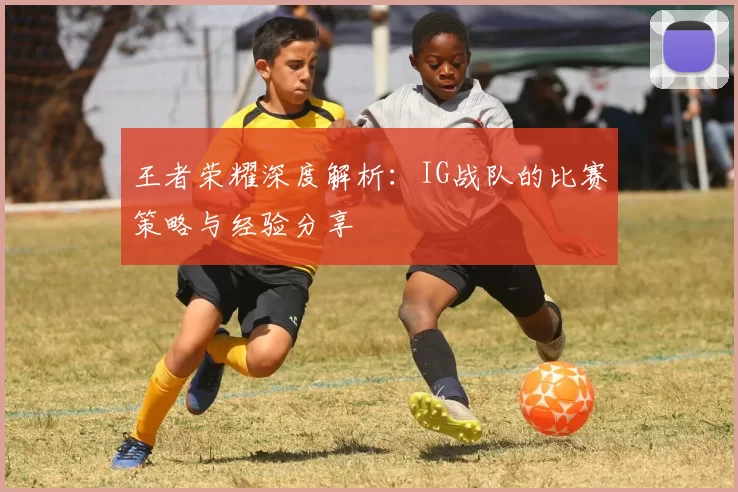 王者荣耀深度解析：IG战队的比赛策略与经验分享
