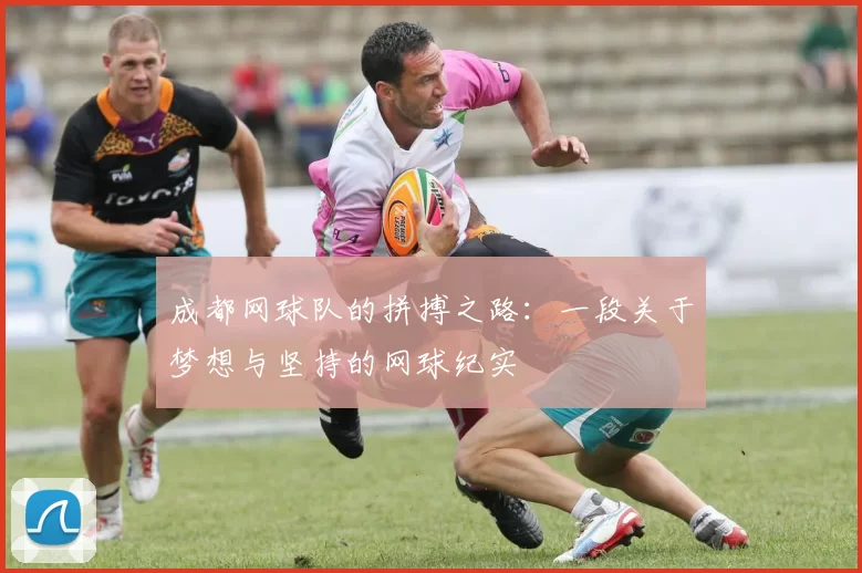 成都网球队的拼搏之路：一段关于梦想与坚持的网球纪实