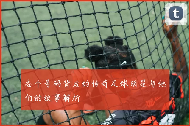 各个号码背后的传奇足球明星与他们的故事解析