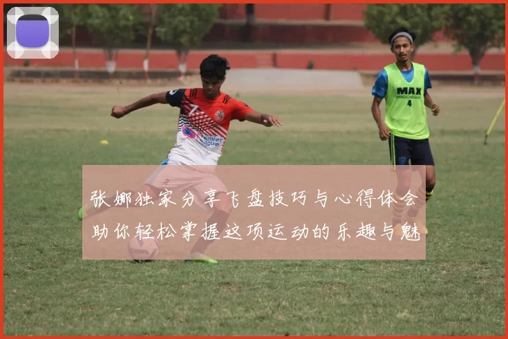 张娜独家分享飞盘技巧与心得体会助你轻松掌握这项运动的乐趣与魅力