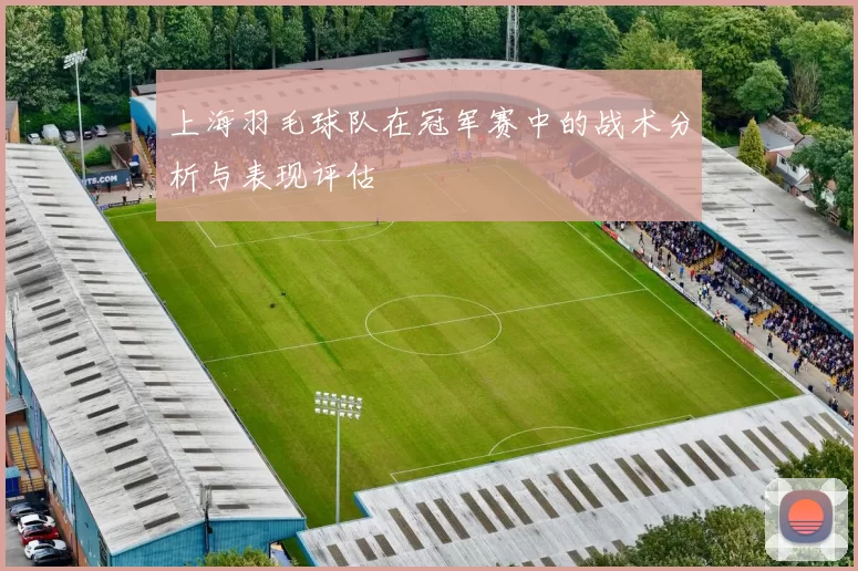 上海羽毛球队在冠军赛中的战术分析与表现评估