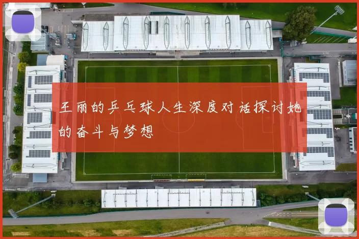 王丽的乒乓球人生深度对话探讨她的奋斗与梦想