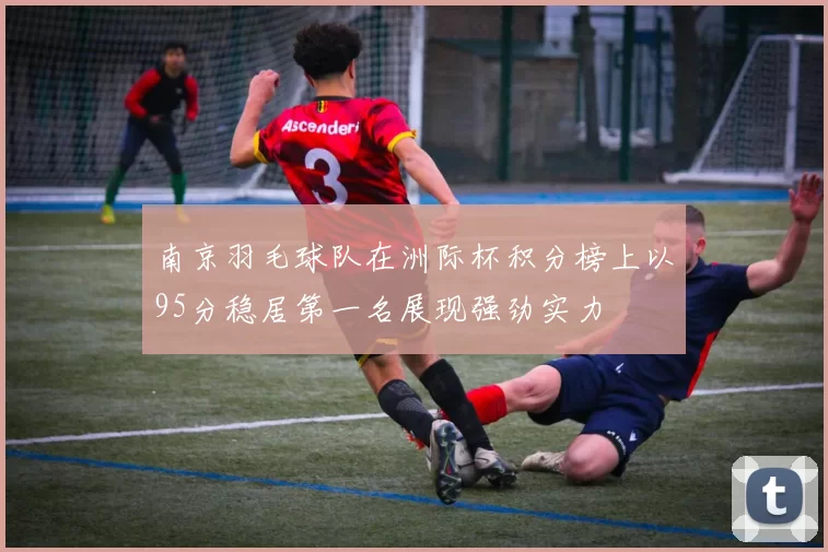 南京羽毛球队在洲际杯积分榜上以95分稳居第一名展现强劲实力