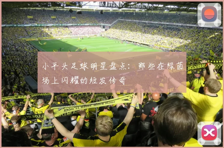 小平头足球明星盘点：那些在绿茵场上闪耀的短发传奇