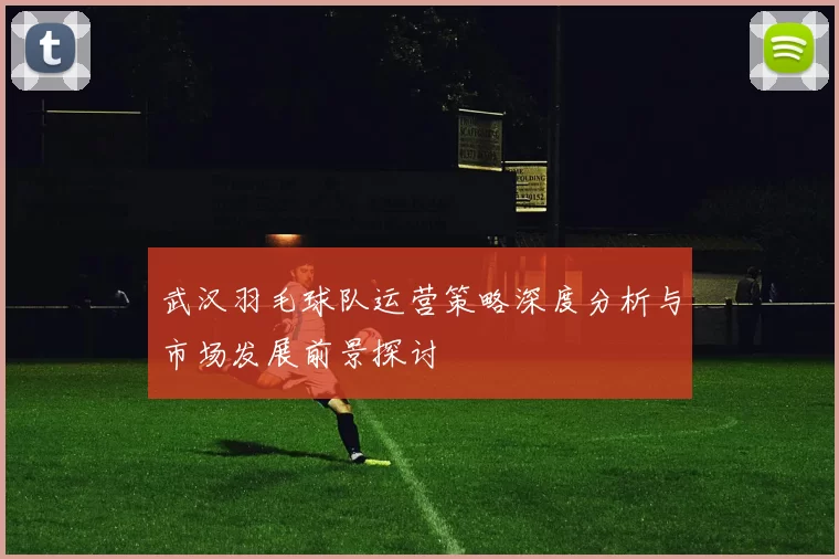 武汉羽毛球队运营策略深度分析与市场发展前景探讨