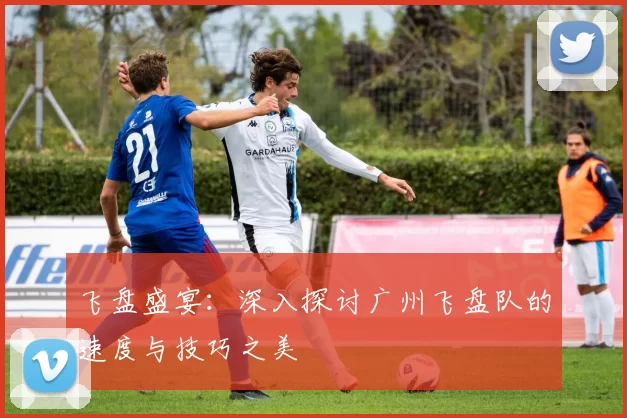 飞盘盛宴：深入探讨广州飞盘队的速度与技巧之美