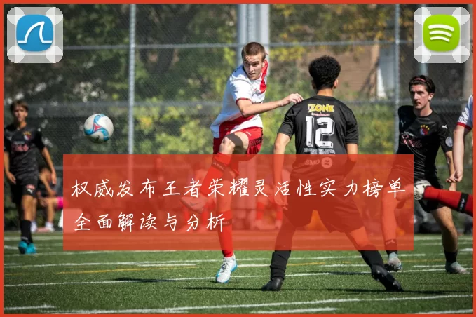 权威发布王者荣耀灵活性实力榜单全面解读与分析