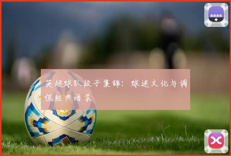 英超球队段子集锦：球迷文化与调侃经典语录