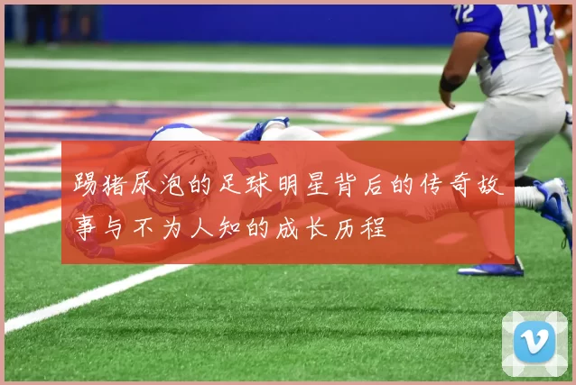 踢猪尿泡的足球明星背后的传奇故事与不为人知的成长历程