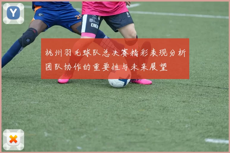 杭州羽毛球队总决赛精彩表现分析团队协作的重要性与未来展望