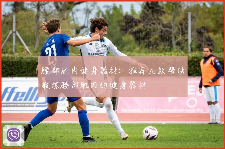 腰部肌肉健身器材：推荐几款帮助锻炼腰部肌肉的健身器材