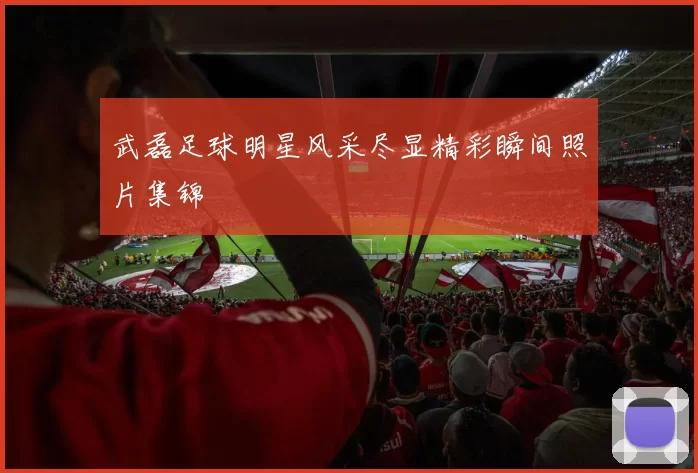武磊足球明星风采尽显精彩瞬间照片集锦