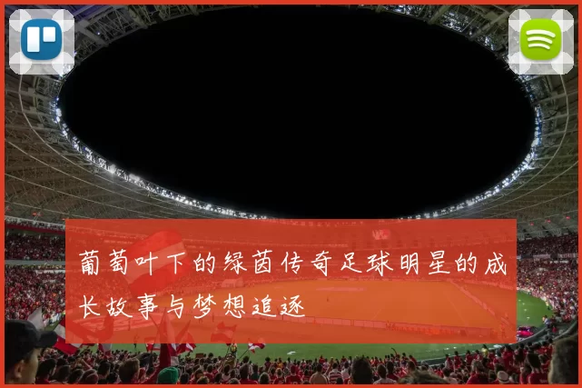 葡萄叶下的绿茵传奇足球明星的成长故事与梦想追逐