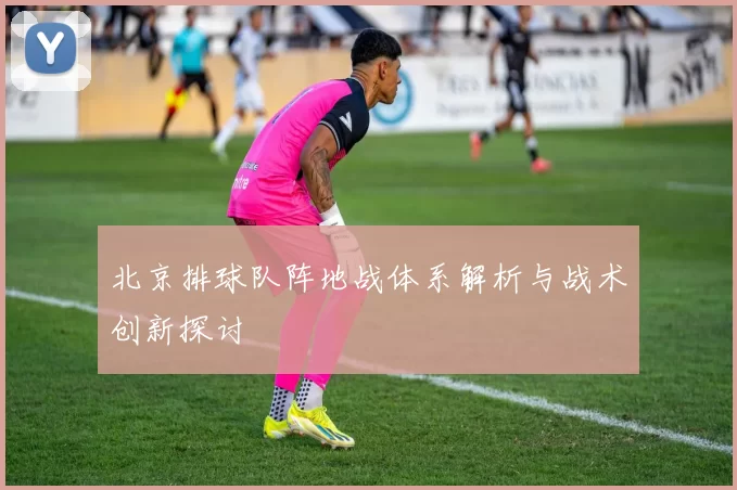 北京排球队阵地战体系解析与战术创新探讨
