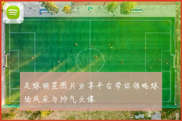 足球明星图片分享平台带你领略球场风采与帅气头像