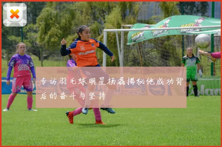 专访羽毛球明星杨磊揭秘他成功背后的奋斗与坚持