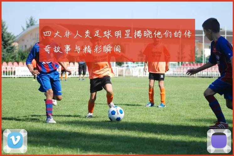 四大非人类足球明星揭晓他们的传奇故事与精彩瞬间