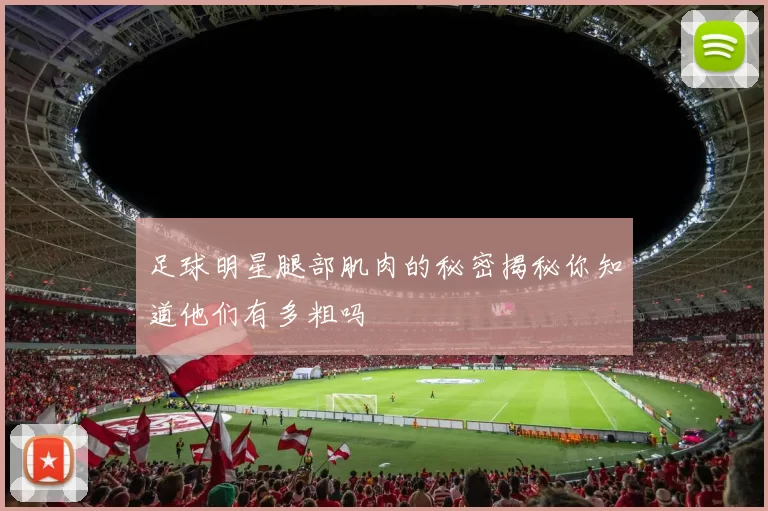 足球明星腿部肌肉的秘密揭秘你知道他们有多粗吗