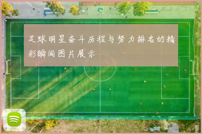 足球明星奋斗历程与努力排名的精彩瞬间图片展示