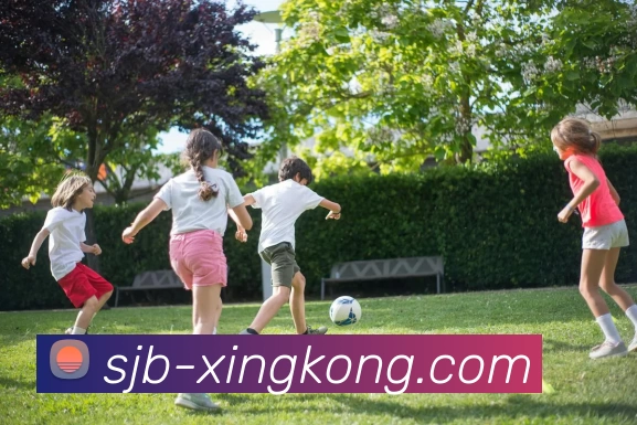 星空体育平台生态图