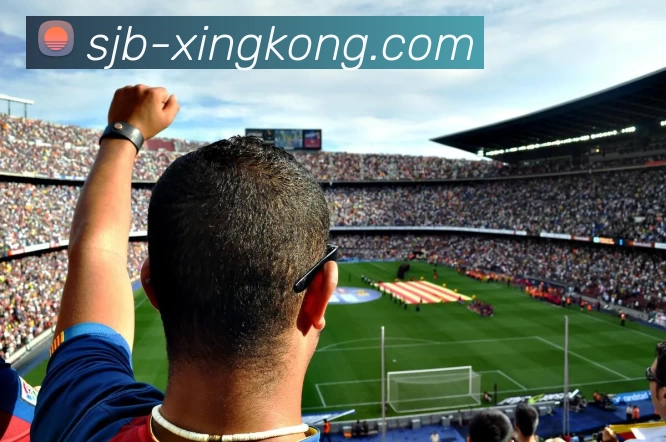 星空体育全站App